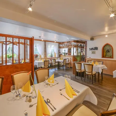 Hotel Bei Meier's Zum Weissen Ross 2*